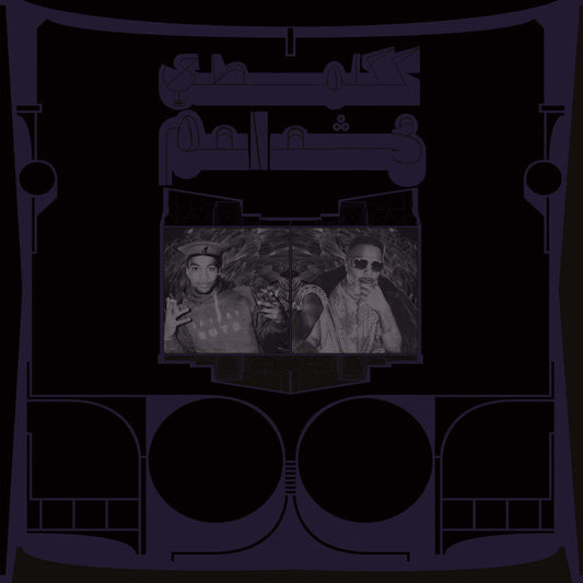 Shabazz Palaces - Exotic Birds of Prey (Vinyl) [ vinyl ]