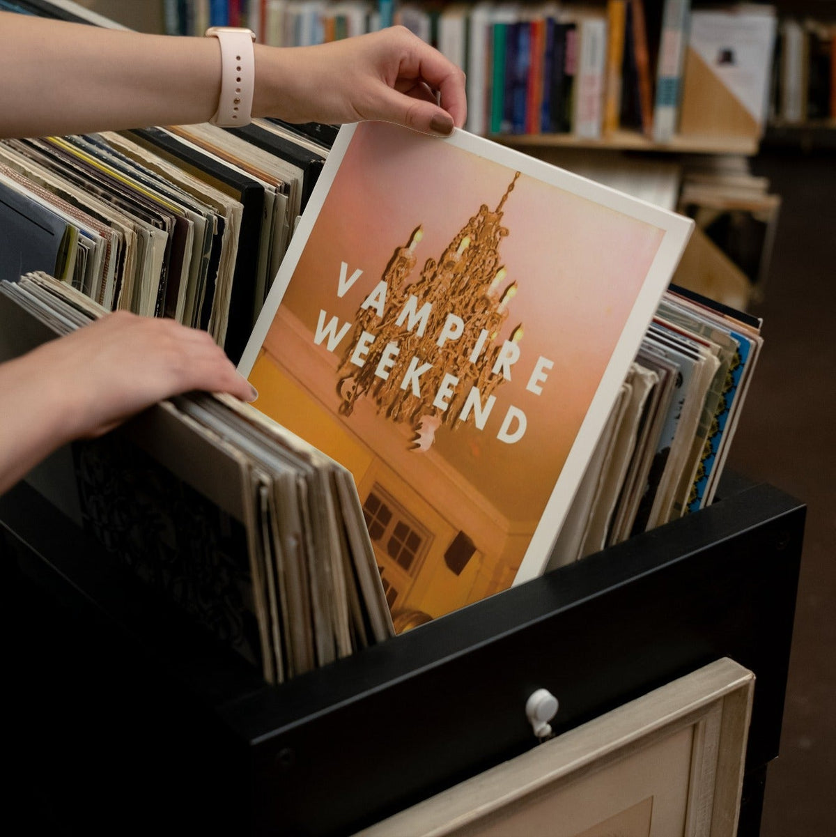 Vampire Weekend - Vampire Weekend - Vinyl LP Record [ vinyl ]