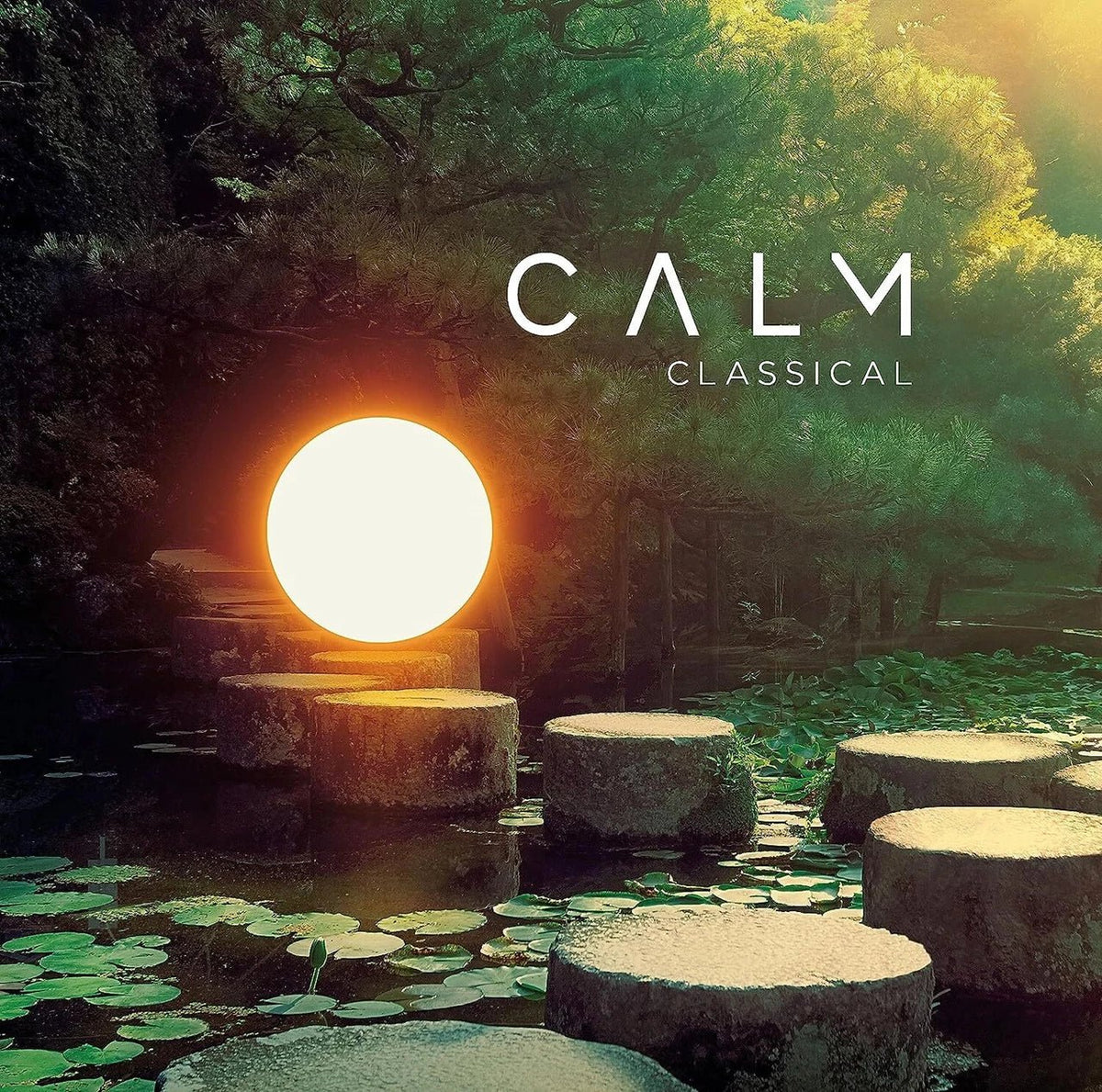 Various Artists - Calm Classical - Vinyl LP Record [ vinyl ]