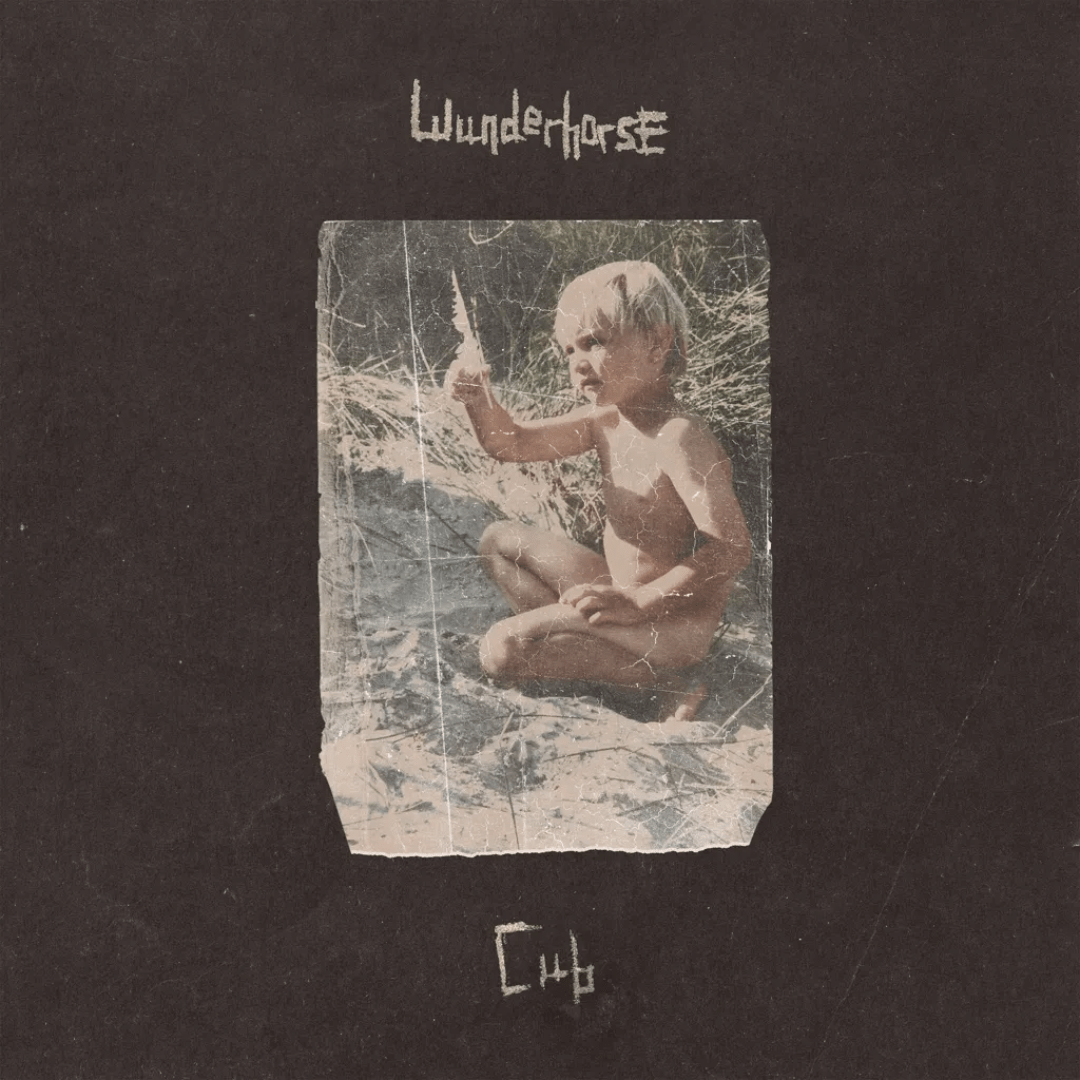 Wunderhorse - Cub - Vinyl LP Record [ vinyl ]