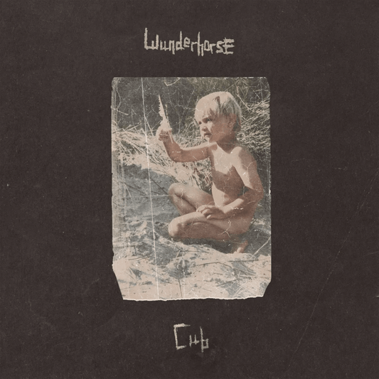 Wunderhorse - Cub - Vinyl LP Record [ vinyl ]
